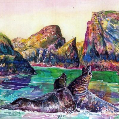 Surfing Seals