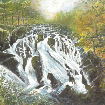 Swallow Falls